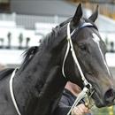 Zebulon zeroes in on Group 1 Goodwood